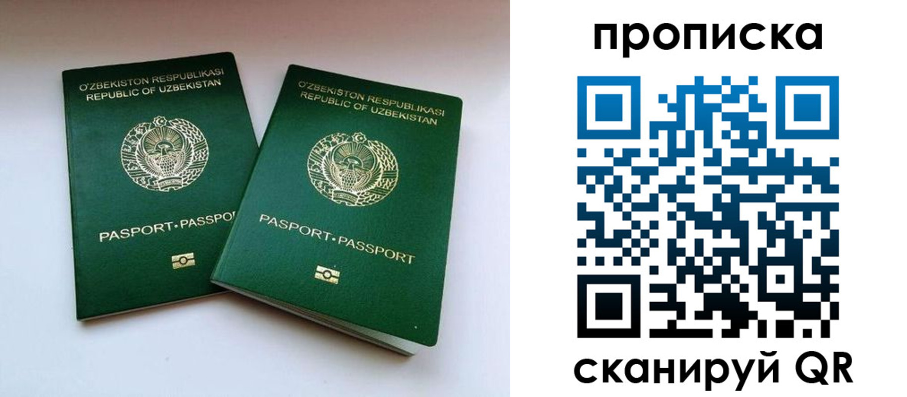 прописка поиск в Немане